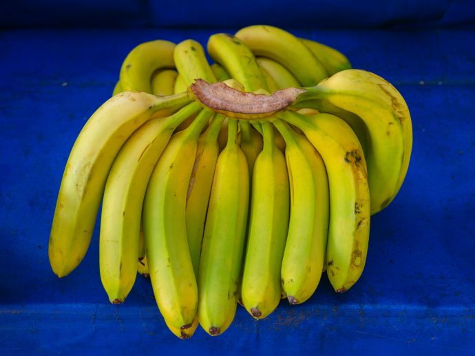 Bananas