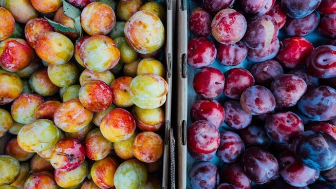 Meta Title: How to Ripen Fruit the Right Way