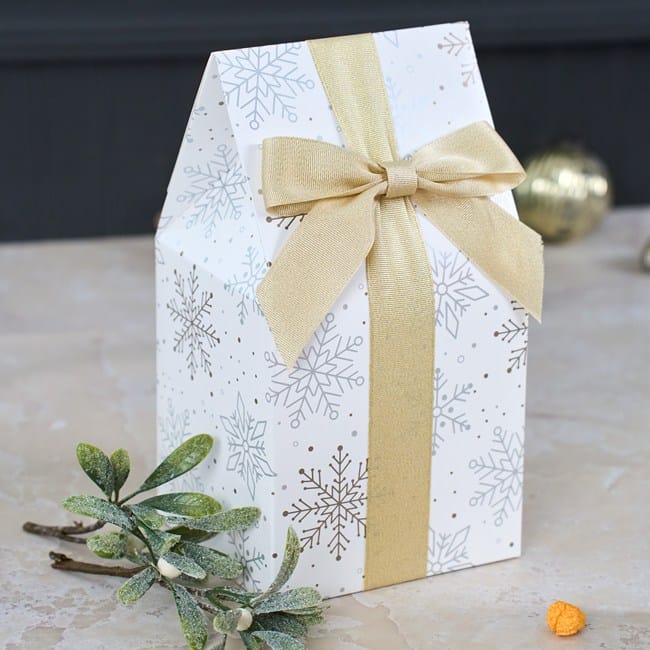 Winter Wishes Cheesy Cheddar Popcorn Gift 