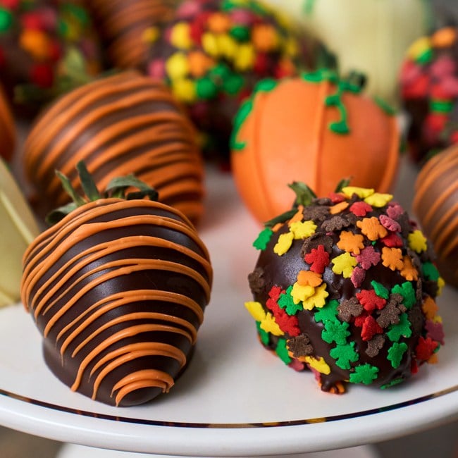Fall Gourmet Berries